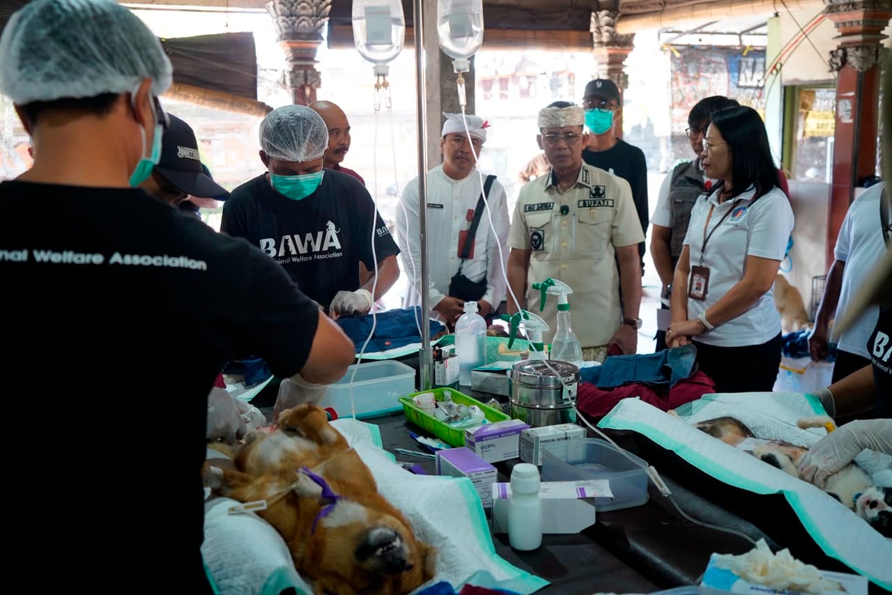 Tinjau Vaksinasi HPR di Gunaksa, Bupati Satria Minta Layanan Bebas Rabies Digencarkan di Tiap Desa