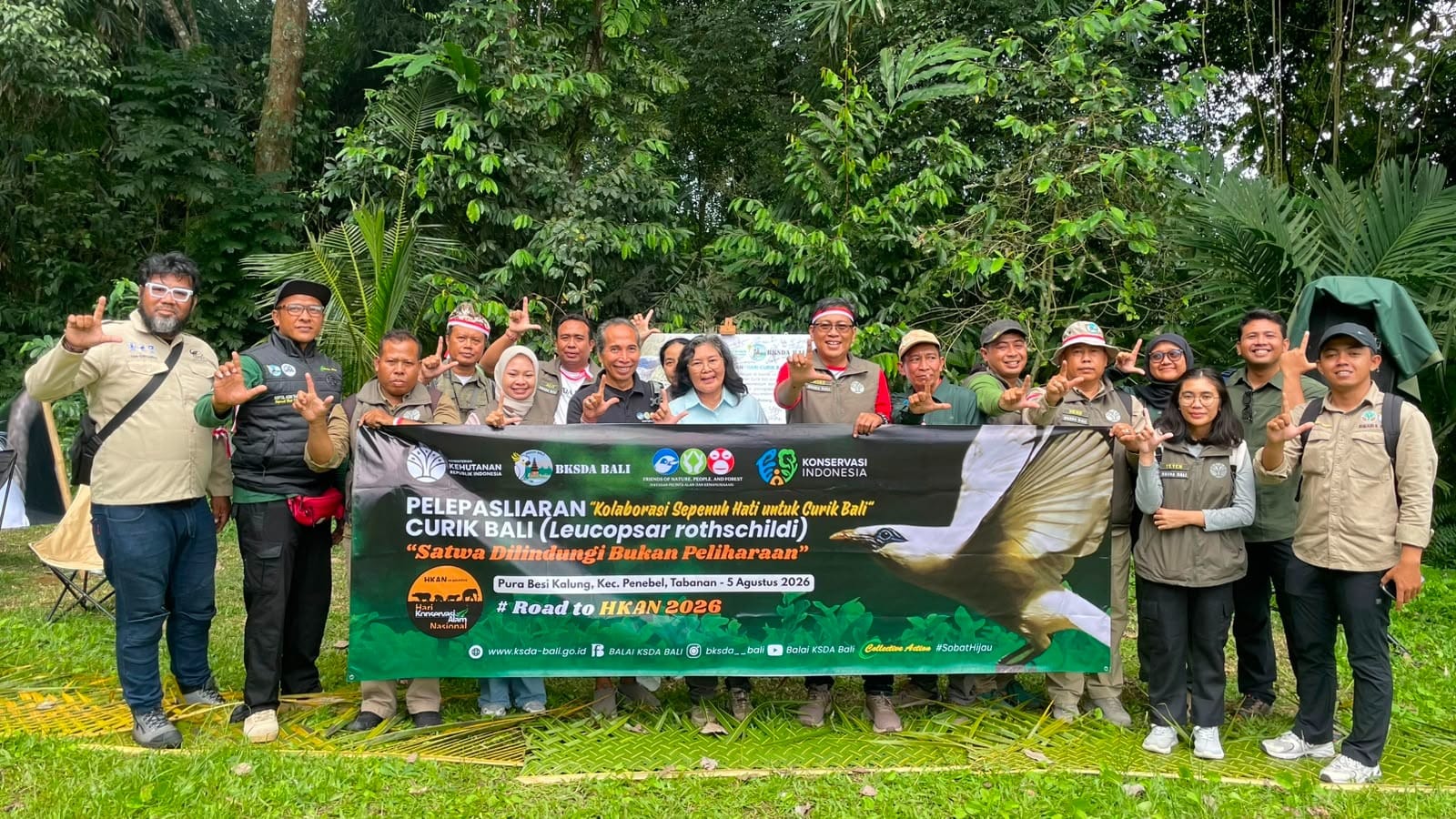 BKSDA Bali dan YPAK Lepasliarkan 6 Ekor Curik Bali di Pura Besi Kalung Tabanan
