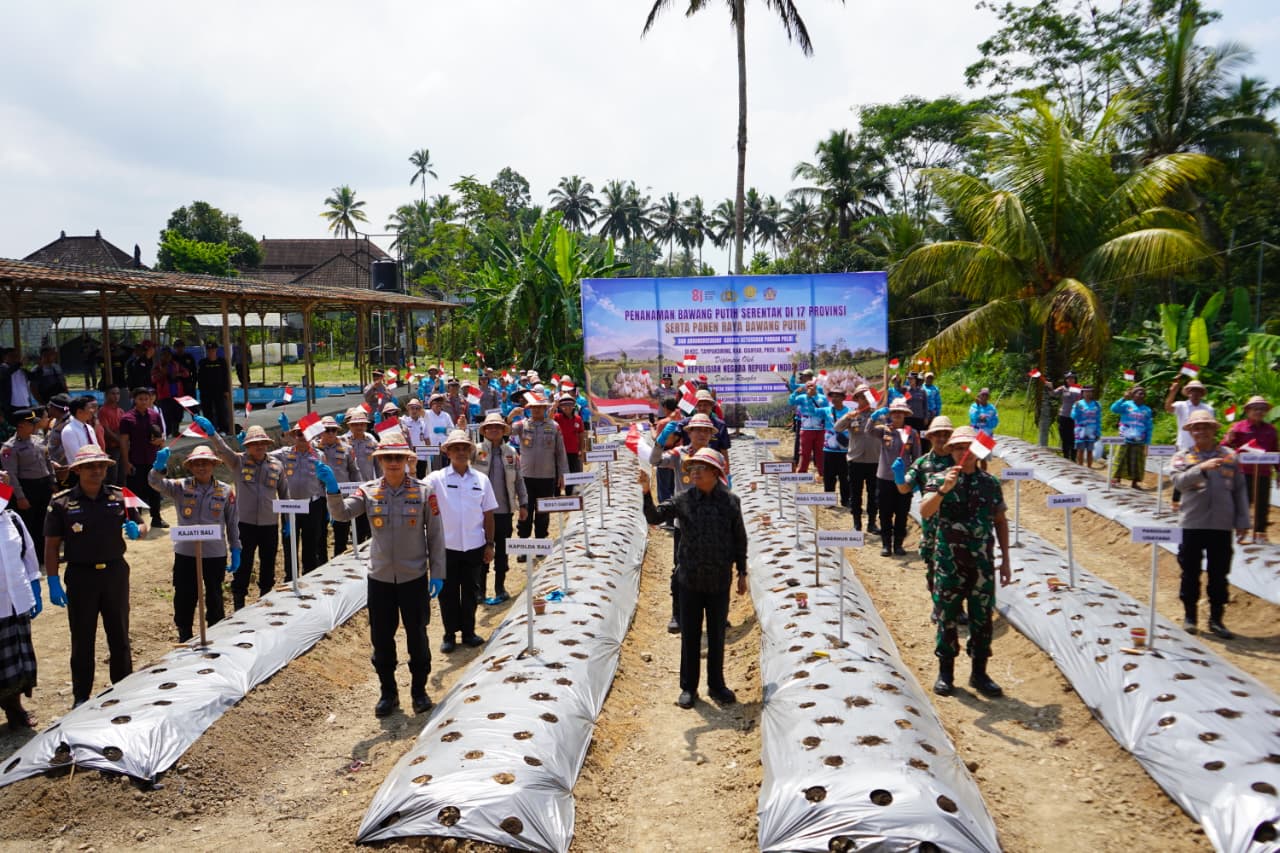 Perkuat Ketahanan Pangan Bali, Koster dan Polda Bali Tanam Bawang Putih di Lahan 30 Are Gianyar