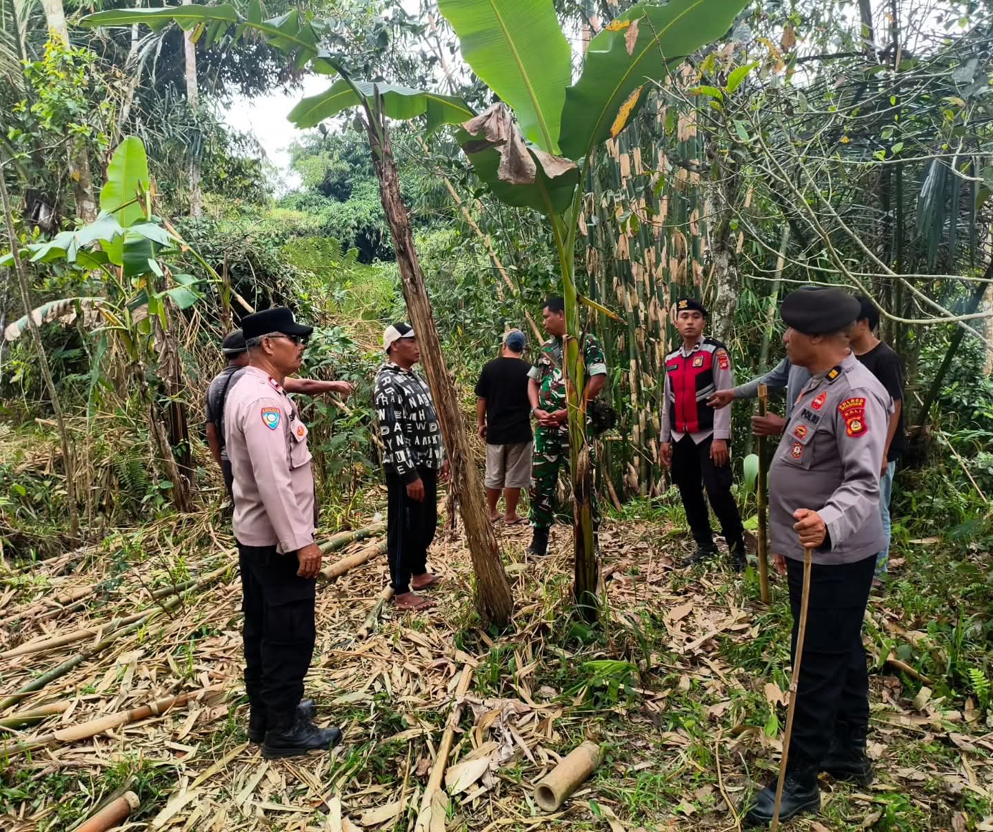 Hilang Saat Hendak Dibawakan Makanan, Nenek 78 Tahun di Tegallalang Dicari Tim Gabungan