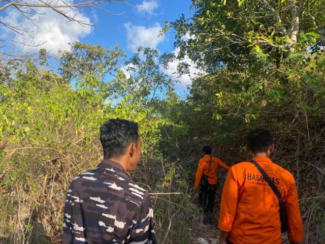 Dadong Selir Menghilang di Bukit Sejak Senin, Tim Sar Gabungan Nusa Penida Lakukan Pencarian