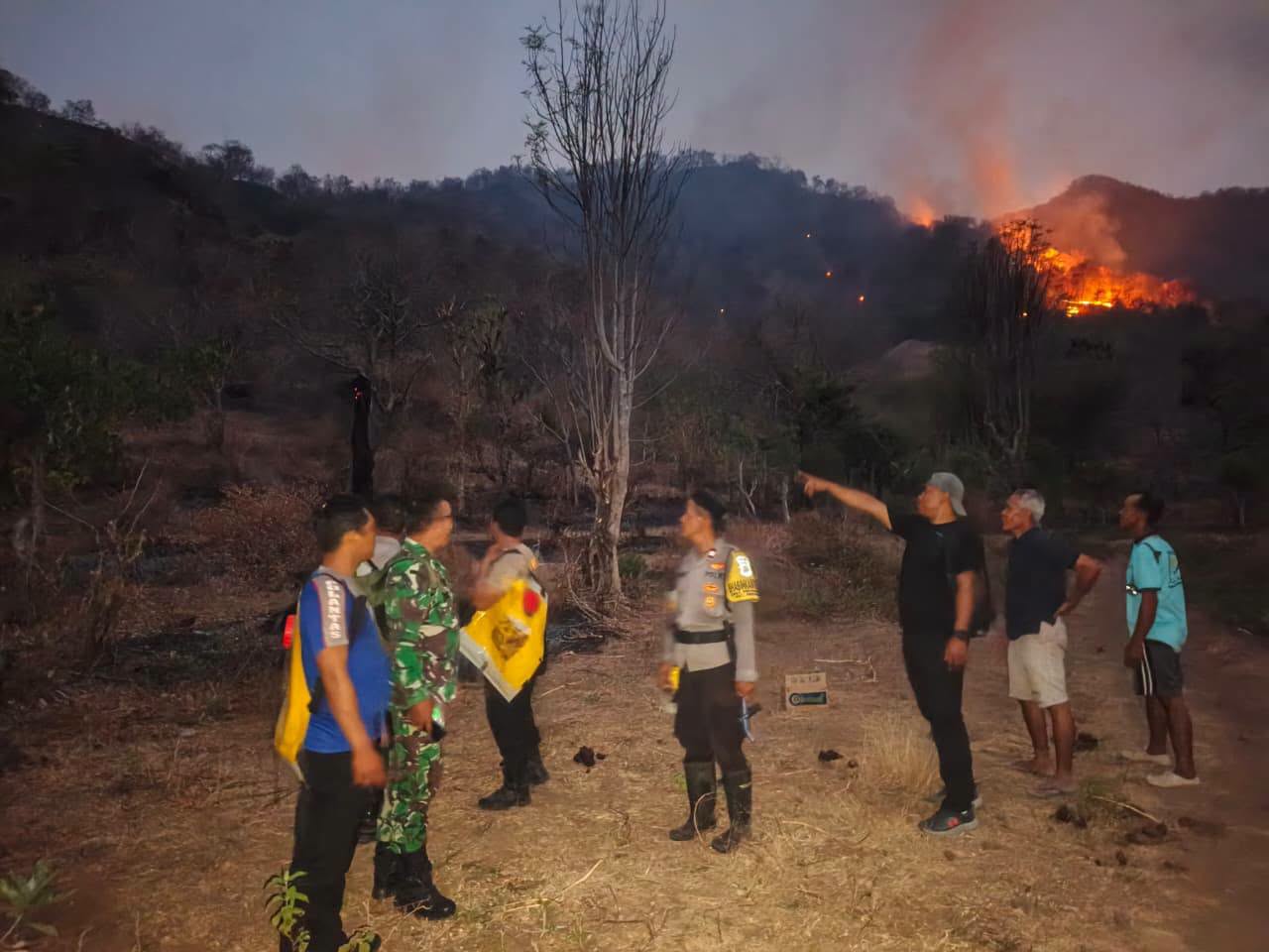 Karhutla Melanda Perbukitan Gunung Gondol Buleleng, Polsek Gerokgak dan Warga Padamkan Api