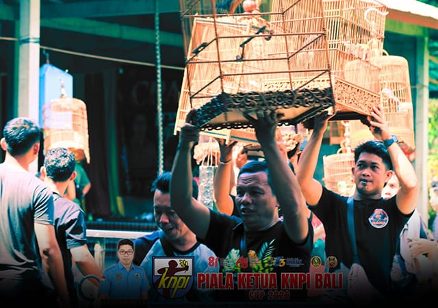 298 Kicau Mania Adu Gacor di Piala Ketua KNPI Bali Cup 2026 di Klungkung