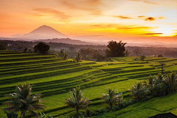 Prakiraan Cuaca Bali 1 September 2026 : Seluruh Wilayah Cerah, Perairan Selatan Menerjang Gelombang Tinggi
