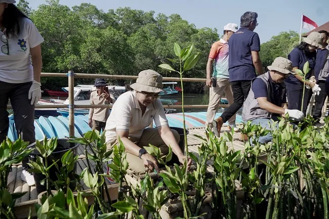 Jaga Sumber Air Baku 84 Ribu Pelanggan, Perumda Tirta Mangutama Badung Tanam 2.000 Bibit Mangrove