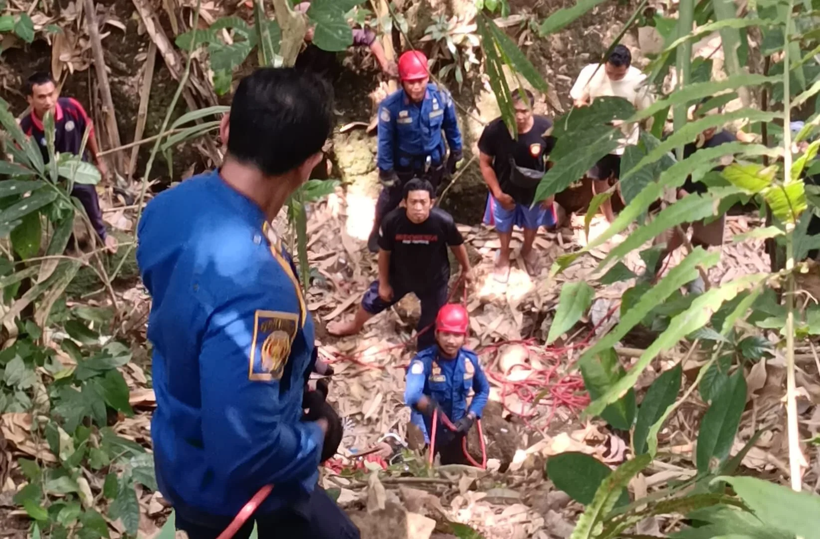 Bersihkan Rumput Ujung Maut, Kakek 75 Tahun di Petang Jatuh ke Jurang Curam
