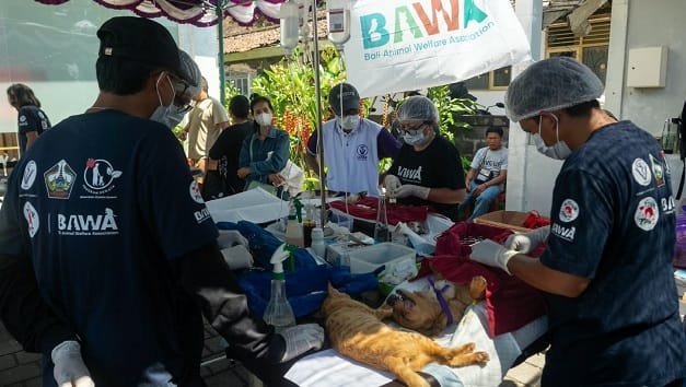 Aksi Kolaboratif Hari Rabies Sedunia 2026 di Bangli “Bersama Lebih Kuat (Stronger Together)”