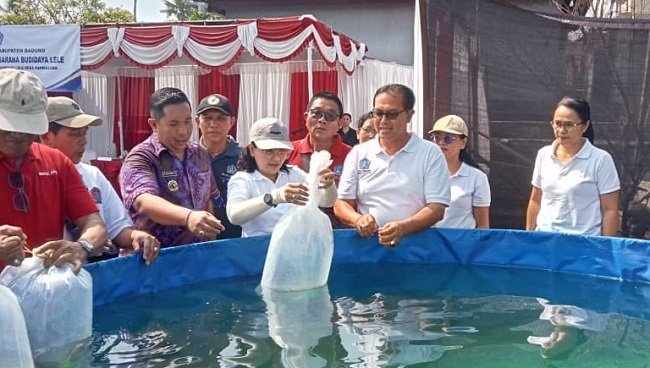 Dukung Kampung Lele dan Program BERLIAN, Ketua TP PKK Badung Serahkan Bantuan Sarana Budidaya di Darmasaba