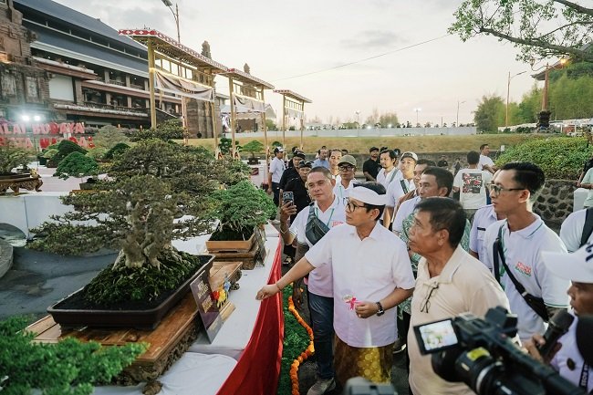 Sedot 850 Peserta se-Nusantara ! Puspem Badung Disulap Jadi Pusat Bonsai dan Suiseki Berskala Nasional