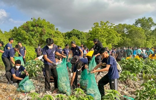 Pemprov Bali Gelar Aksi Bersih Serentak dan Angkut 3,56 Ton Sampah di Mangrove Pesanggaran