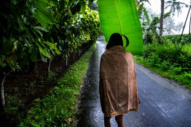 Jembrana hingga Denpasar Diguyur Hujan ! Simak Prakiraan Cuaca Lengkap 9 Kabupaten/Kota di Bali Hari Ini