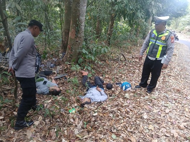 Diduga Rem Blong di Jalan Turunan Curam Sukasada, Dua Pria Asal Bekasi dan Jakarta Tewas Tabrak Pohon