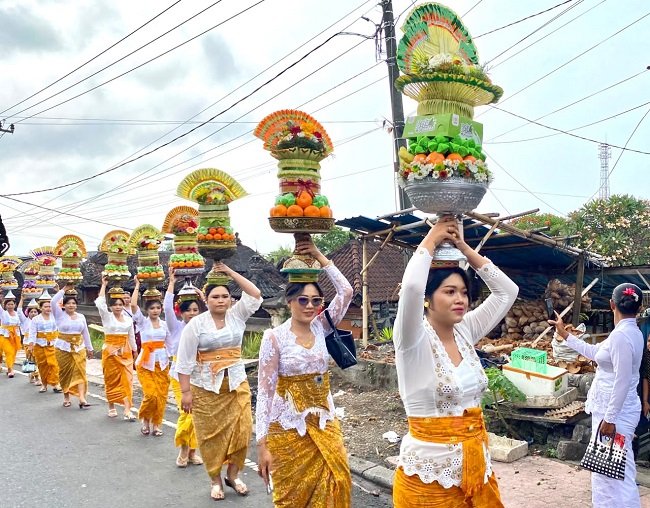 Krama Istri Banjar Adat Selat Gelar Tradisi Mepeed Perdana di Pura Agung Kentel Gumi